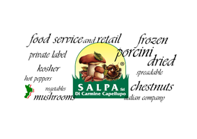 https://www.rcshow.com/wp-content/uploads/2019/02/SALPA.png
