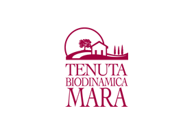 https://www.rcshow.com/wp-content/uploads/2019/02/TENUTA.png